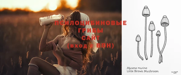 2c-b Алексин